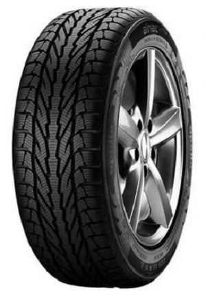 APOLLO Alnac 4G Winter 205/55R16